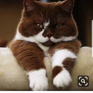 Meet your Posher, Marcie